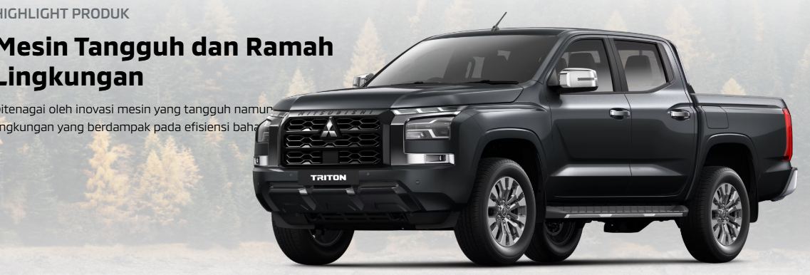 New TRITON